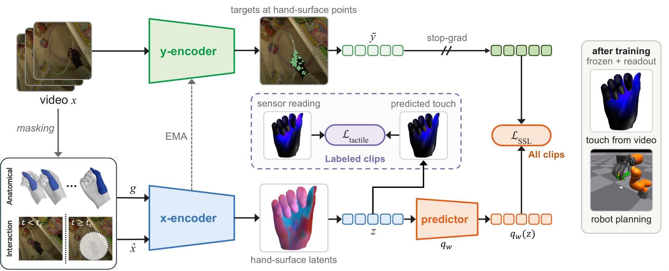 Touch-JEPA overview: a y-encoder reads unmasked video to produce target features at hand-surface locations; an x-encoder sees masked video plus the estimated hand mesh and predicts them; tactile labels supervise the same states when available.